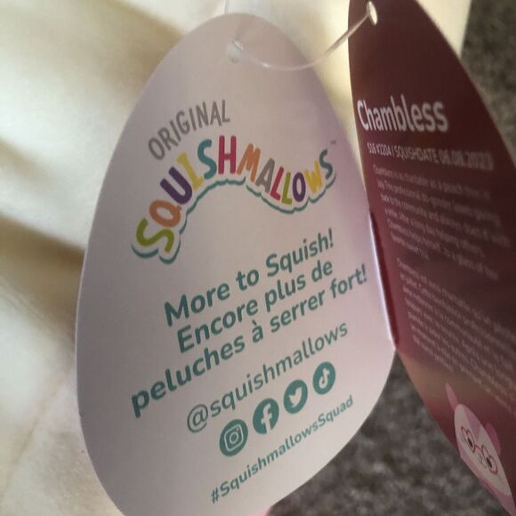 NEW 2024 Squishmallow 16" Valentines CHAMBLESS THE HAMPSTER FIRST TO MARKET - Picture 6 of 12